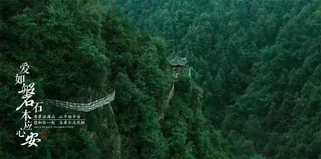 生化危机保护伞小队