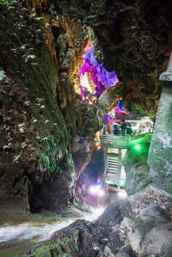 逃出奶油苹果屋