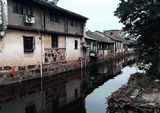 矿工打地鼠