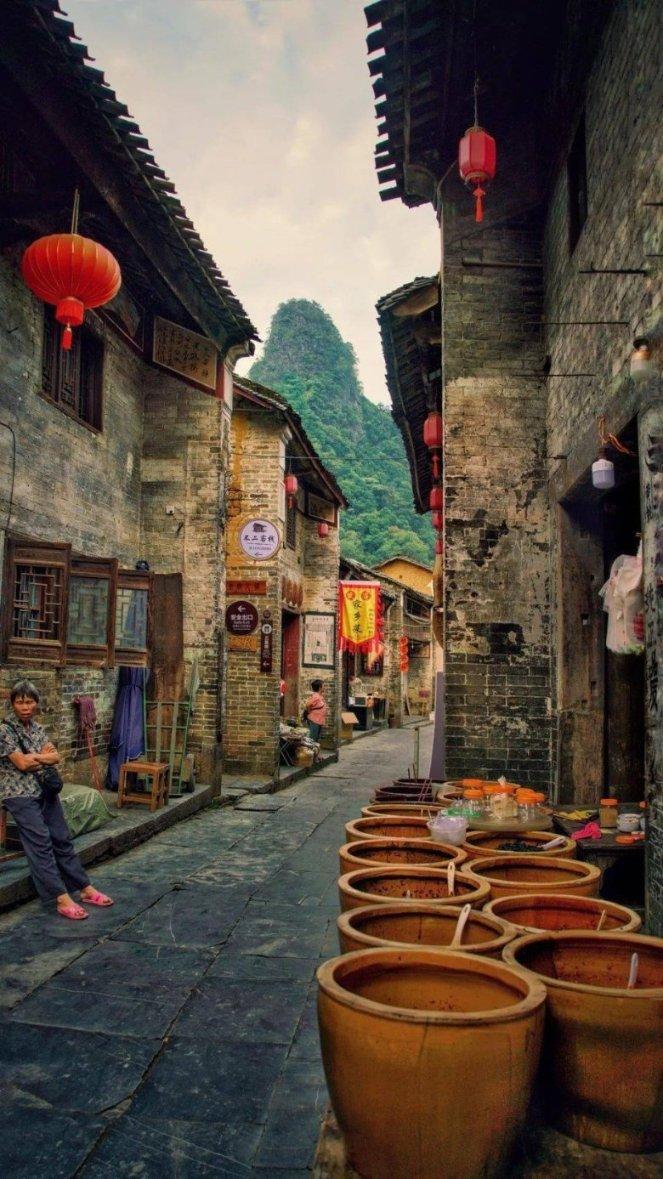 植物大战僵尸7