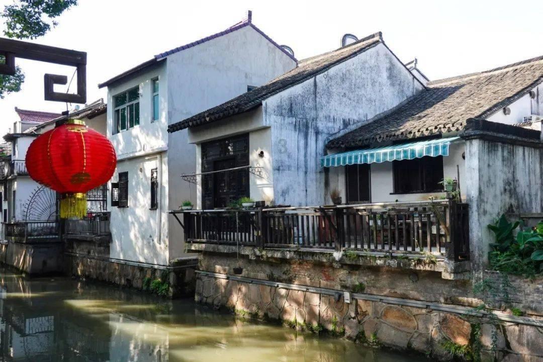 煮猪皮冻时注意这1步，皮冻清澈透亮有嚼劲，而且没腥味